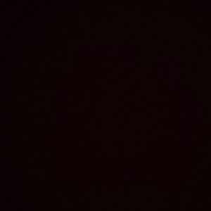 Meet your Posher, Rose